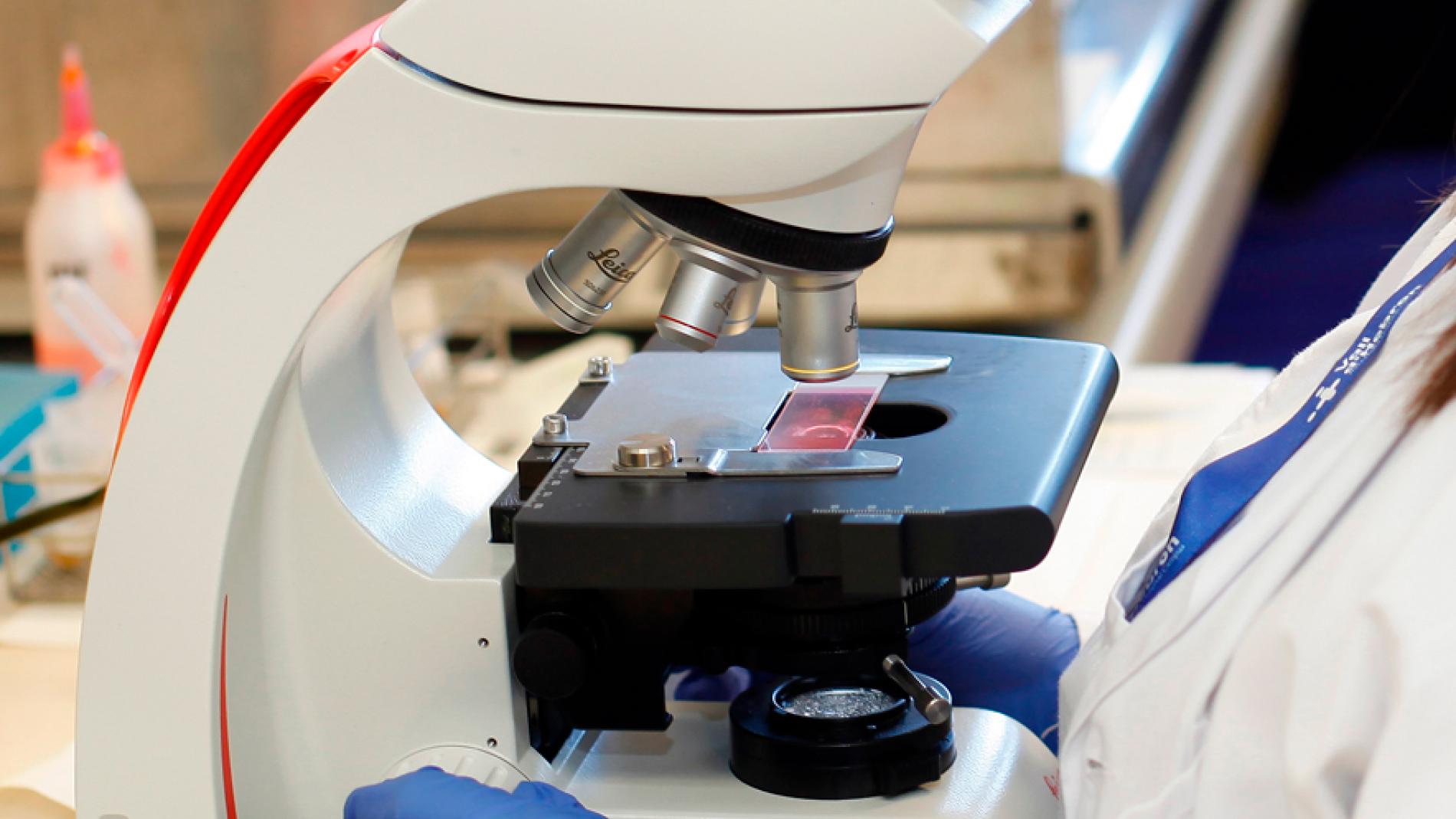 placa-narcis-monturiol