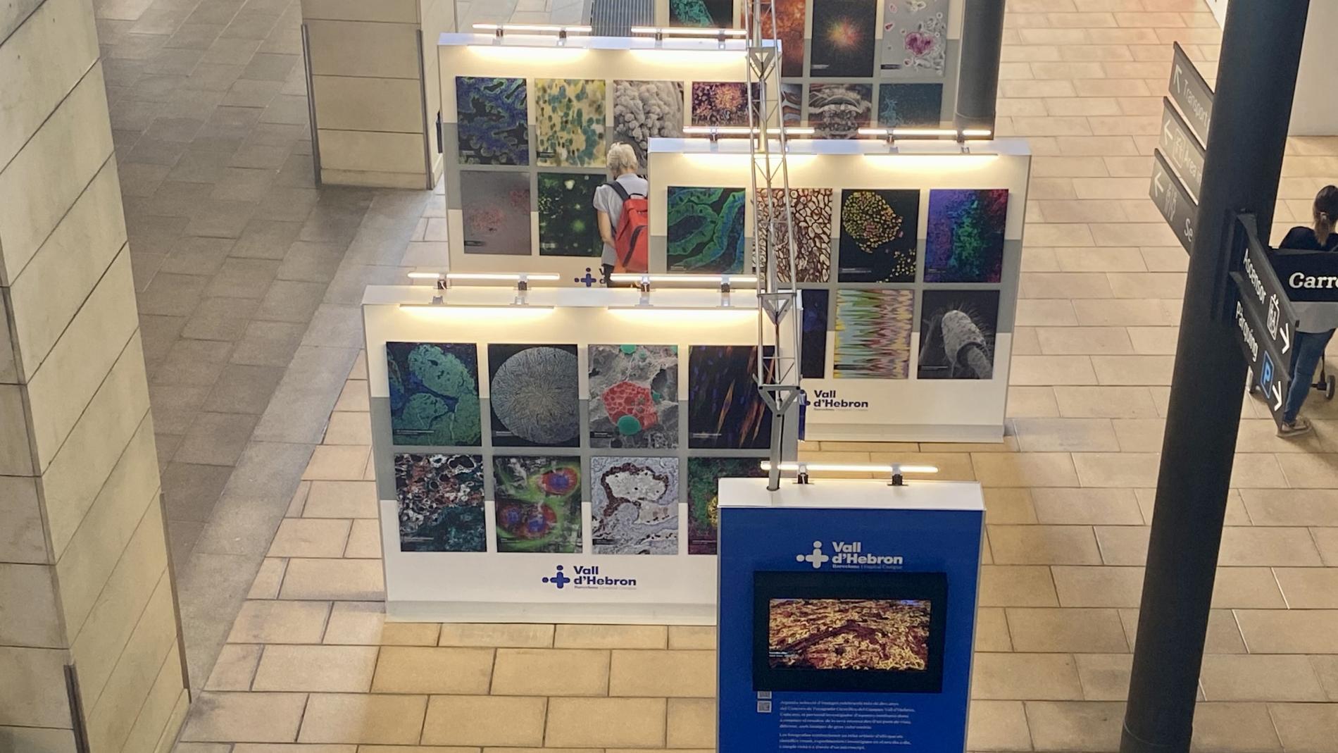 Exposició fotografia científica La Maquinista