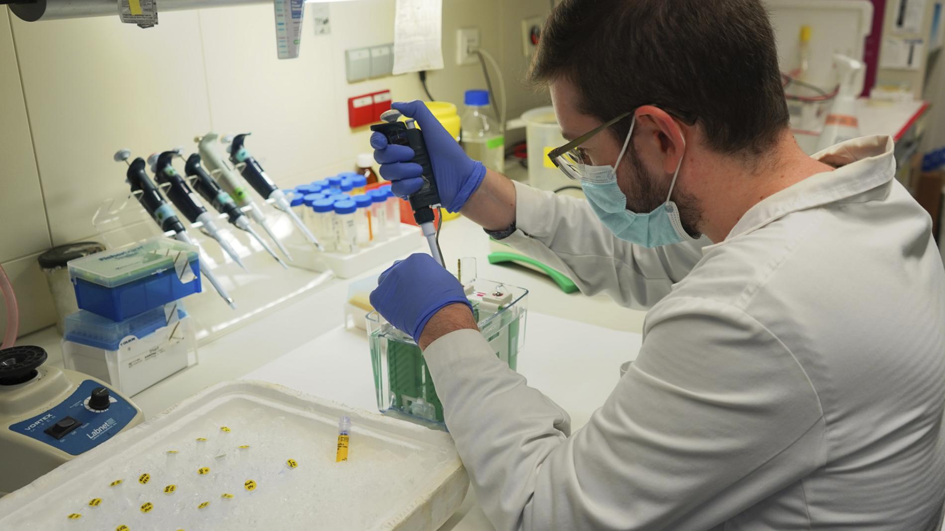 Investigador al laboratori