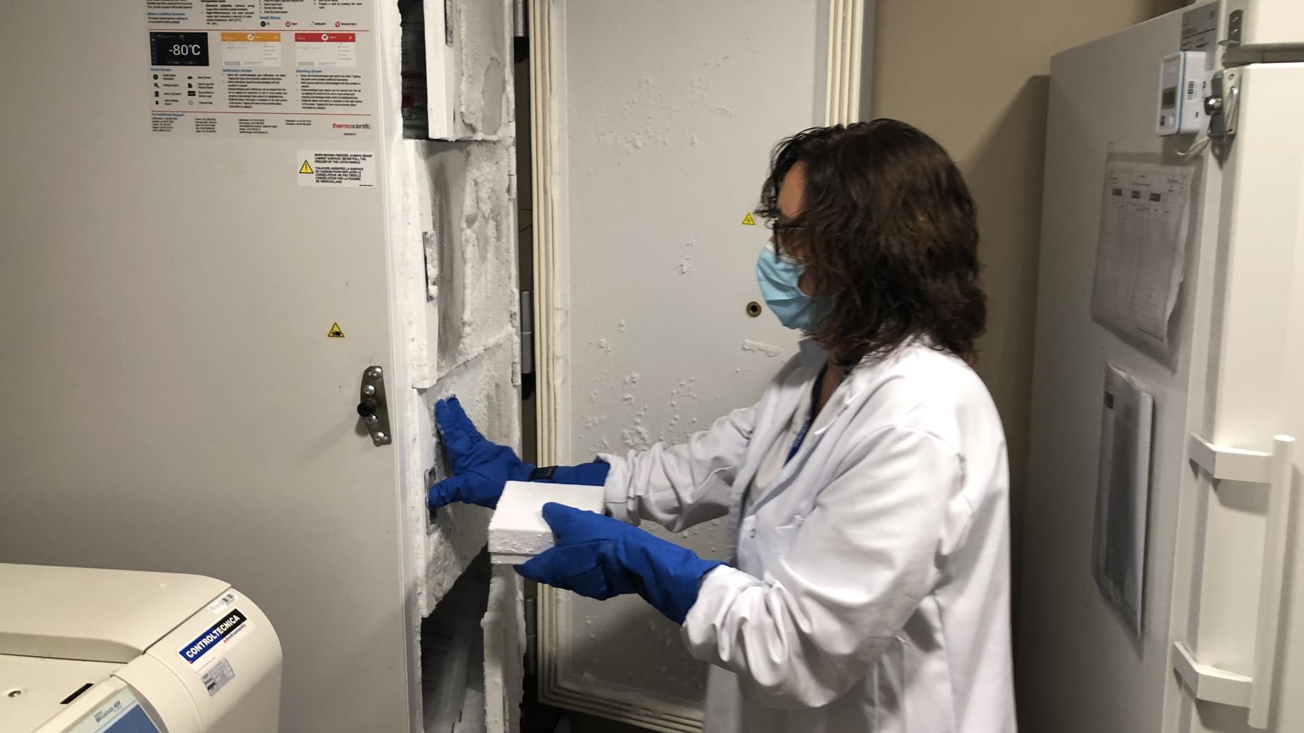 Professional agafant mostres a nevera