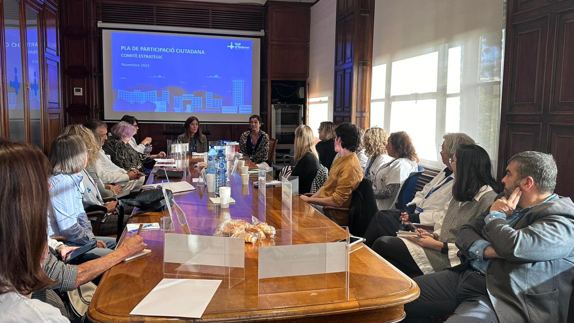 Comite Estrategic de Participacio