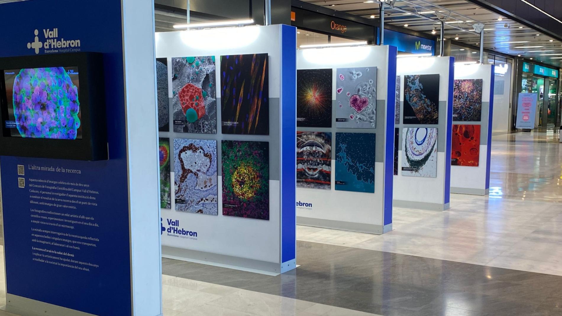 Exposició L'Altra Mirada de la Recerca al Centre Comercial Vilamarina a Viladecans