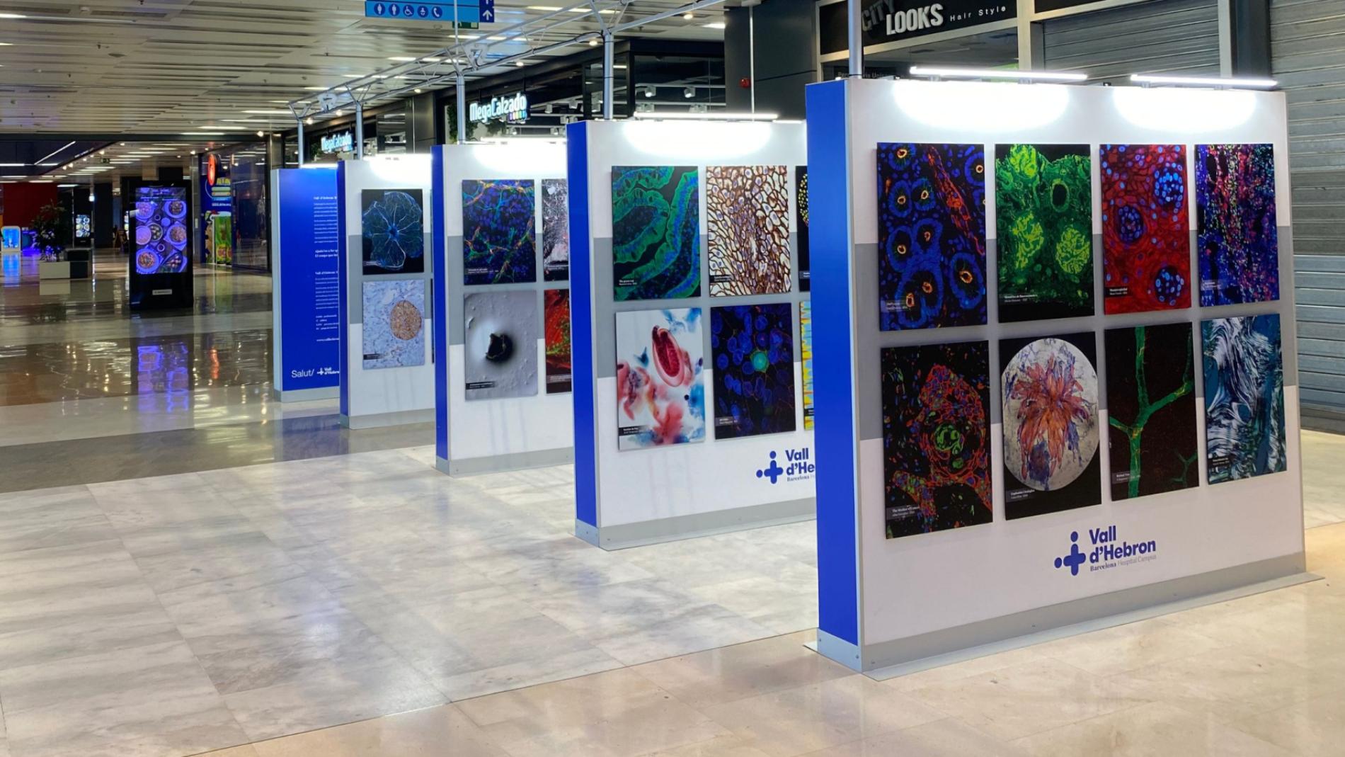 Exposició L'Altra Mirada de la Recerca al Centre Comercial Vilamarina a Viladecans