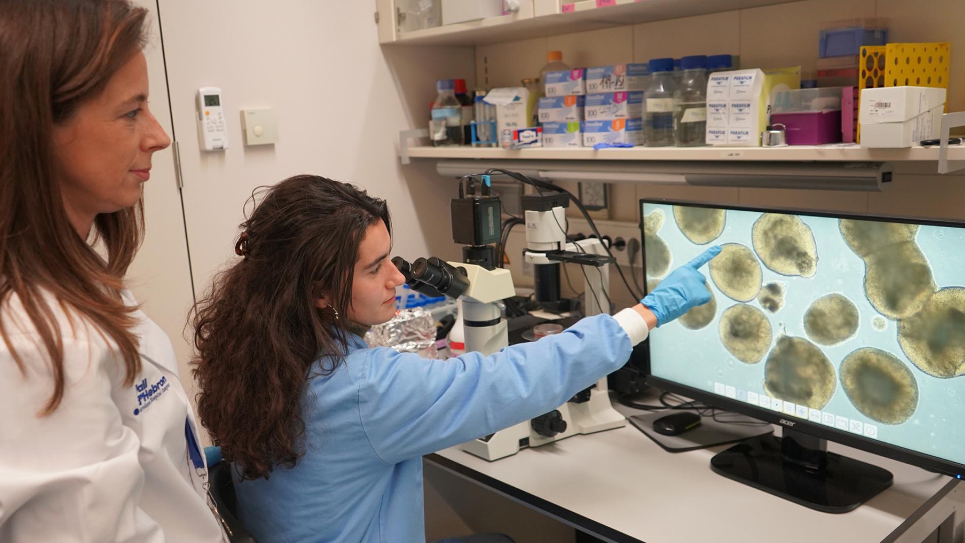 Organoides en oftalmologia