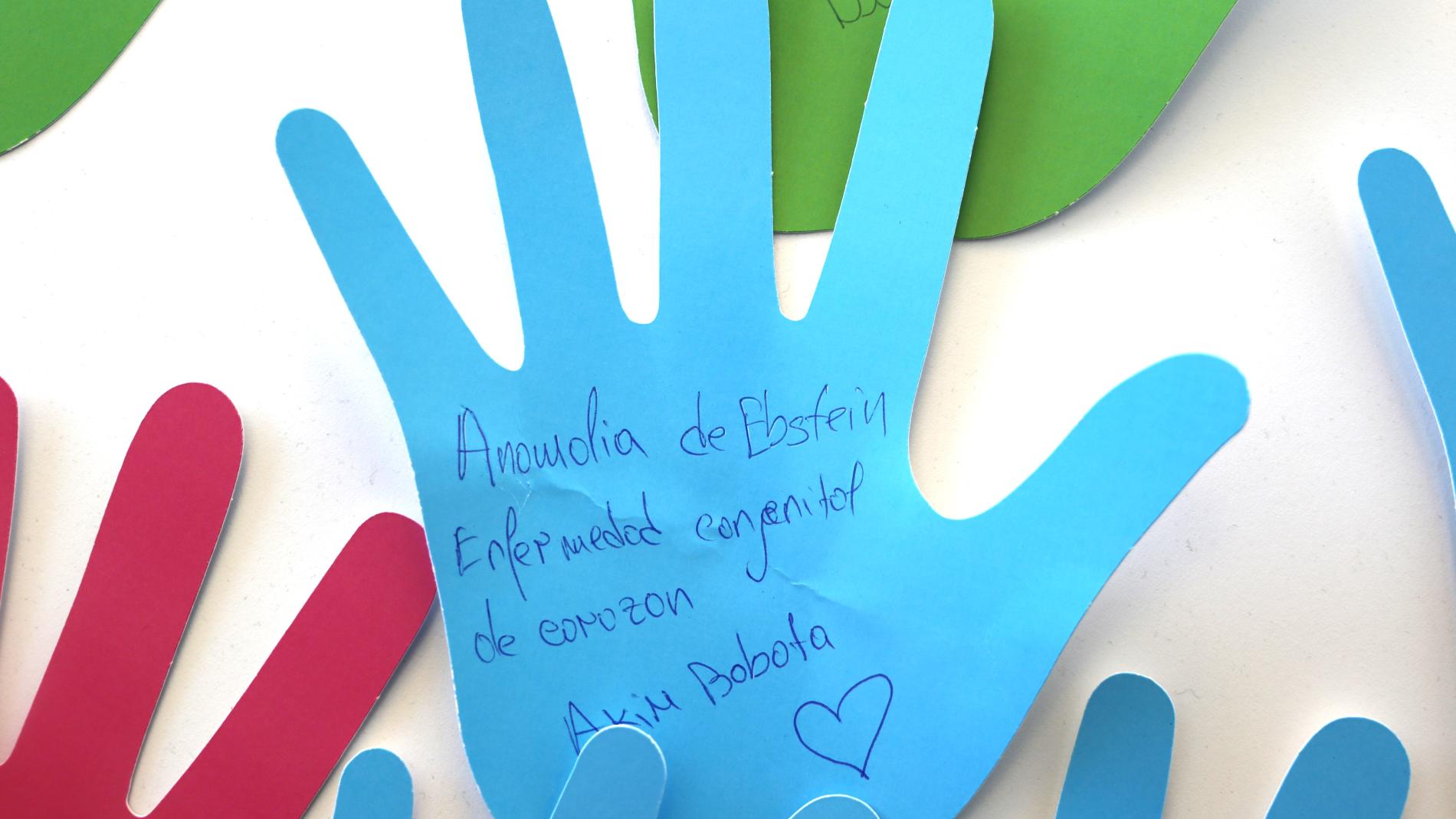 jornada malalties minoritaries