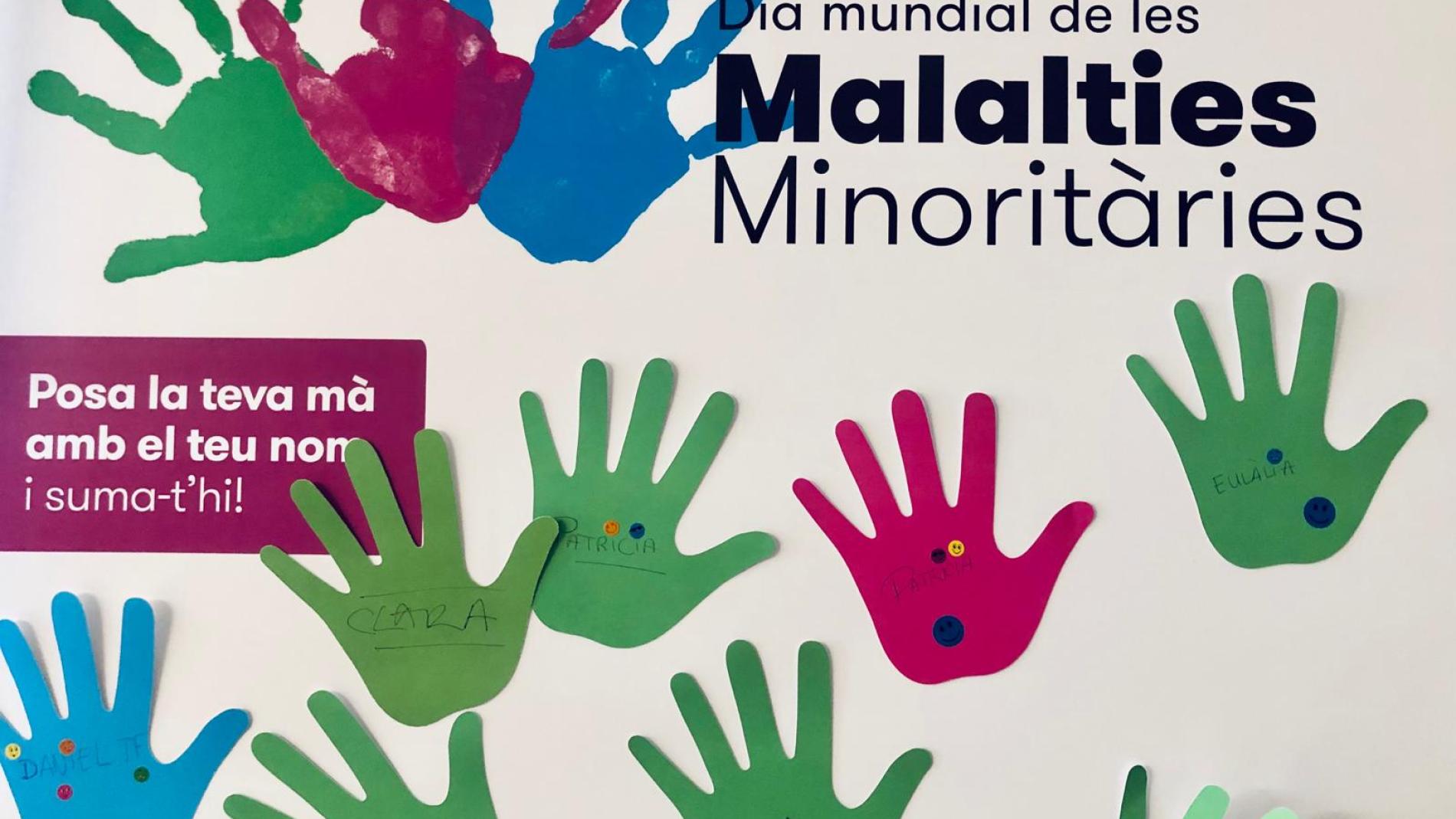 jornada malalties minoritaries