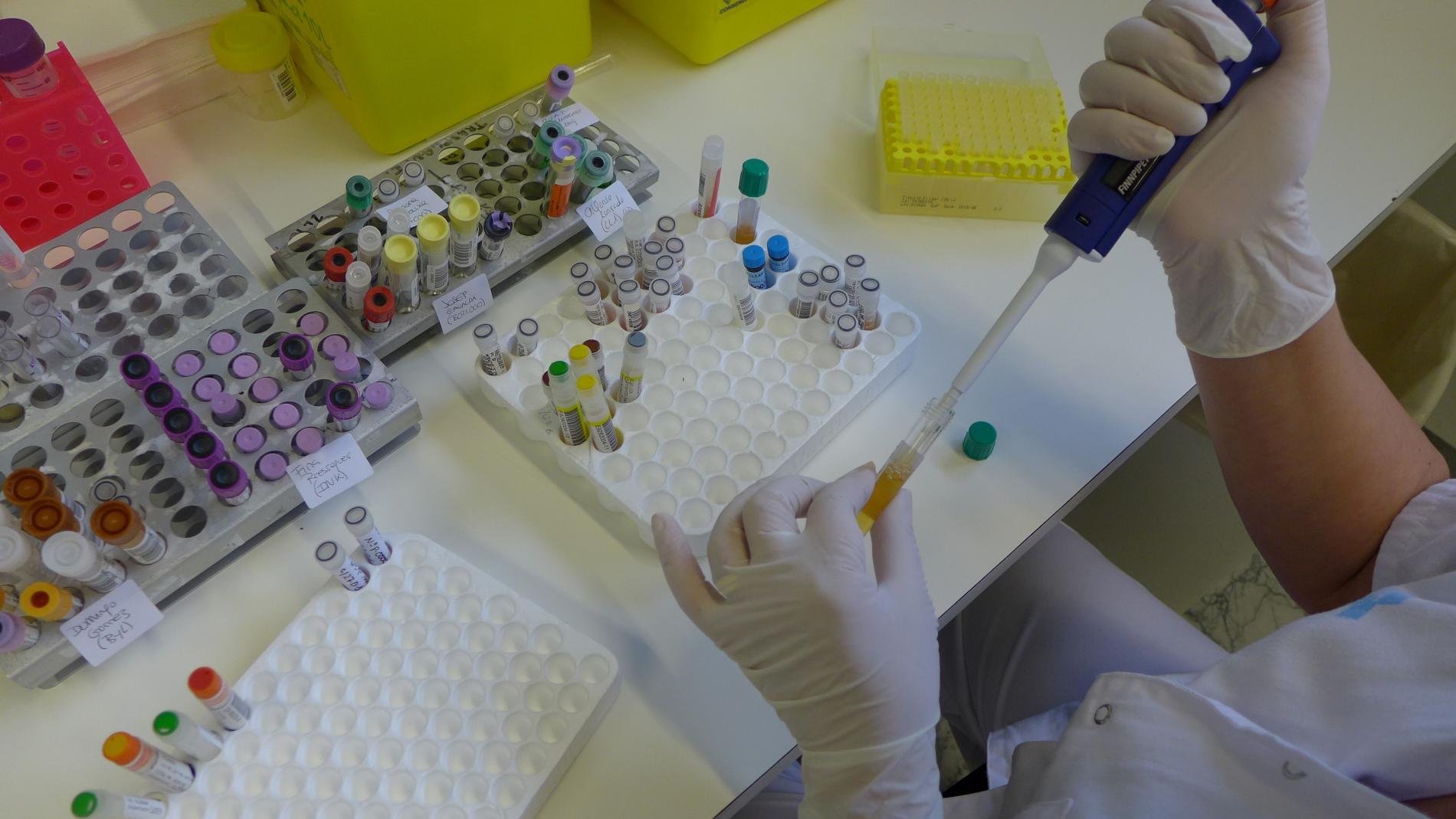 Recerca en oncologia