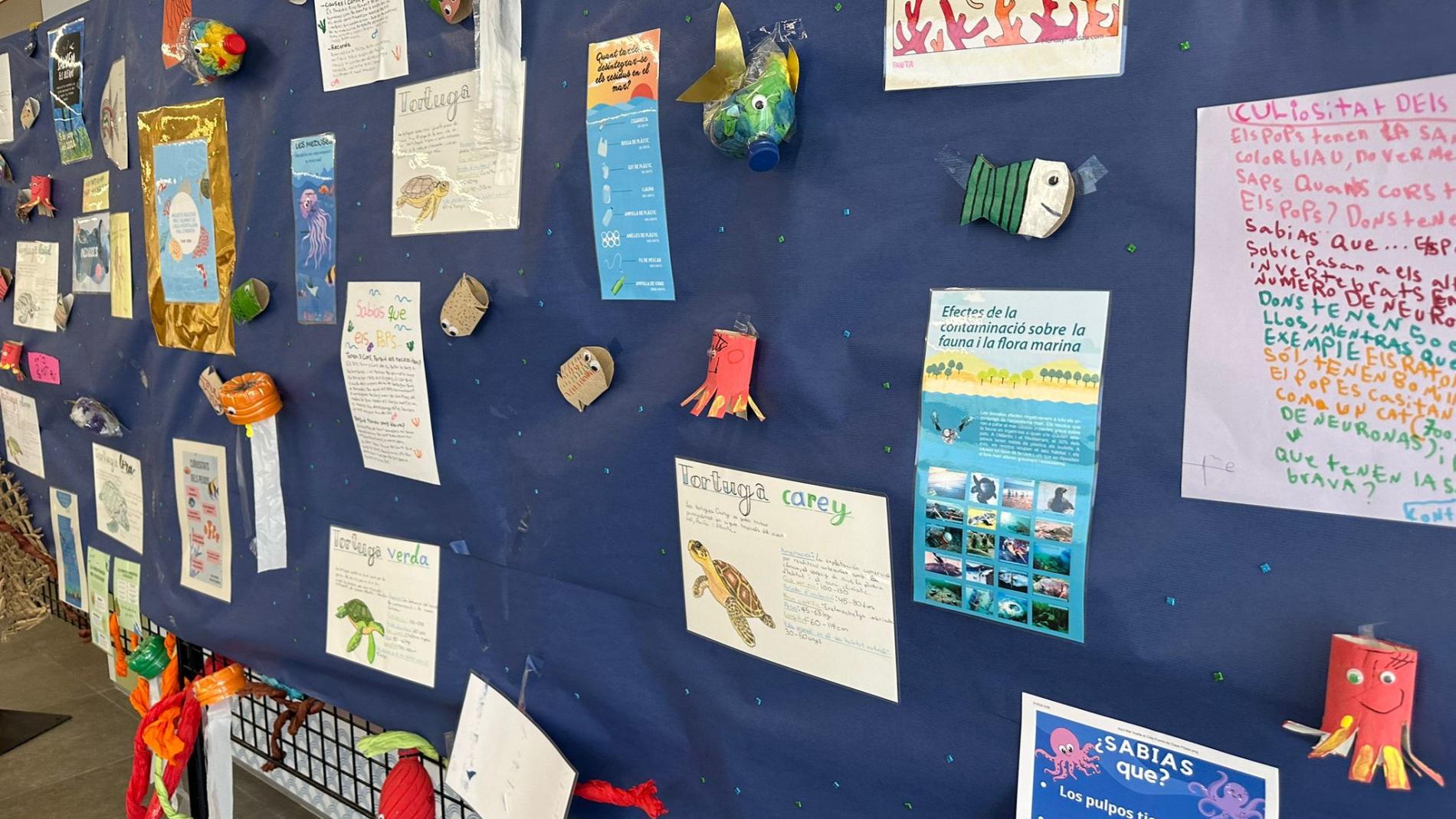 Dia Mundial del Medi Ambient