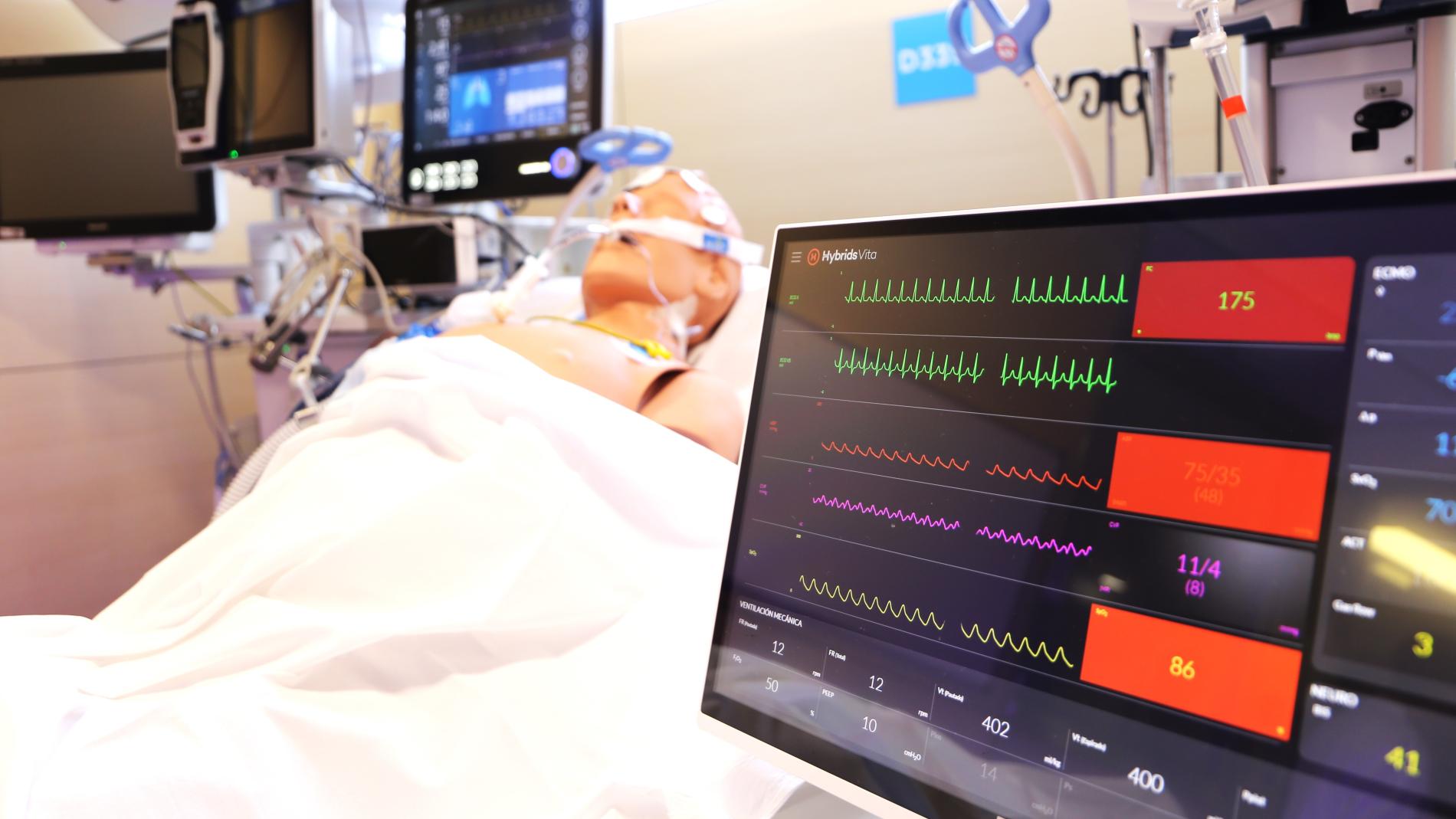 Simulador Hybrids VITA