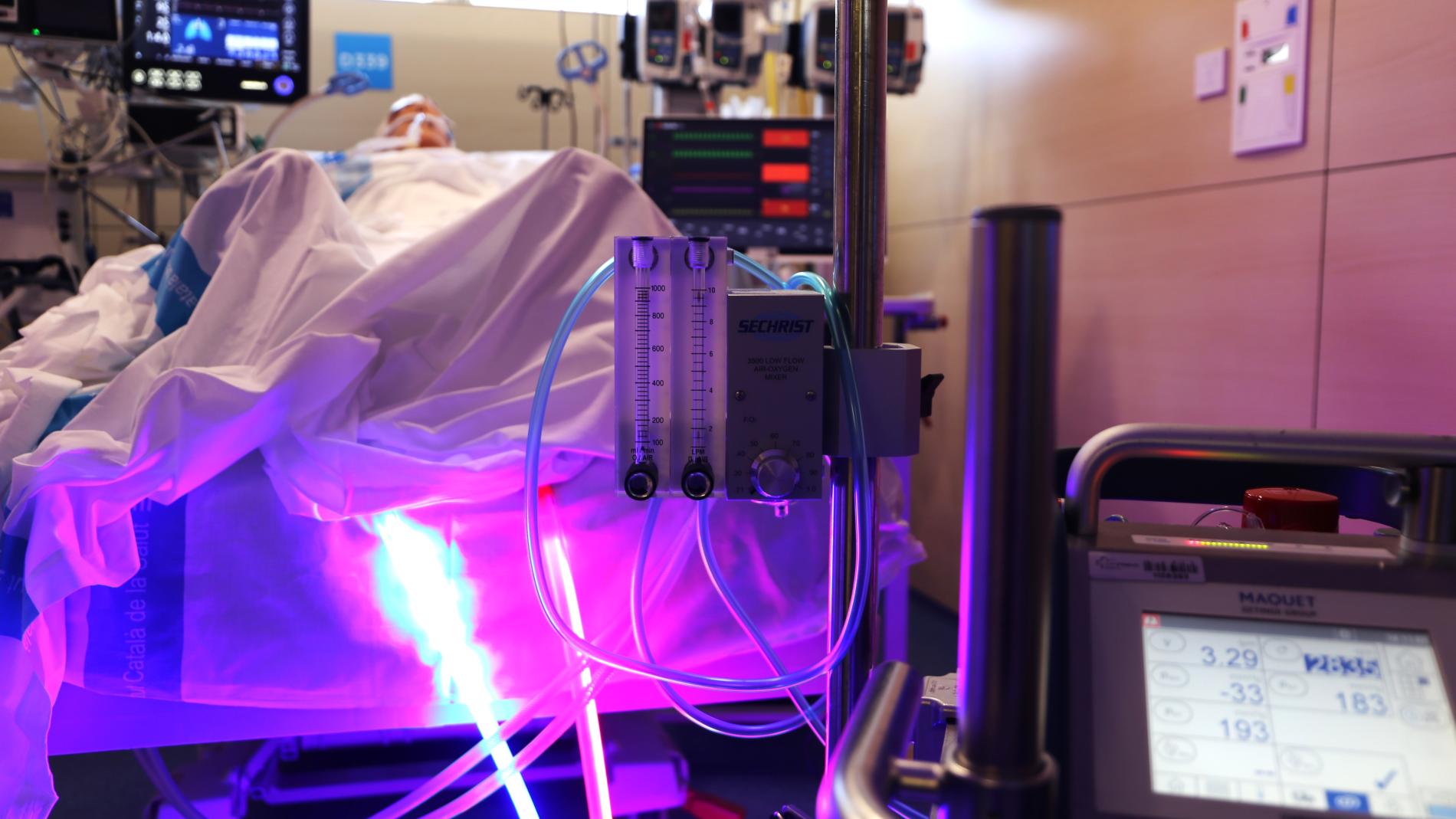 Simulador Hybrids VITA