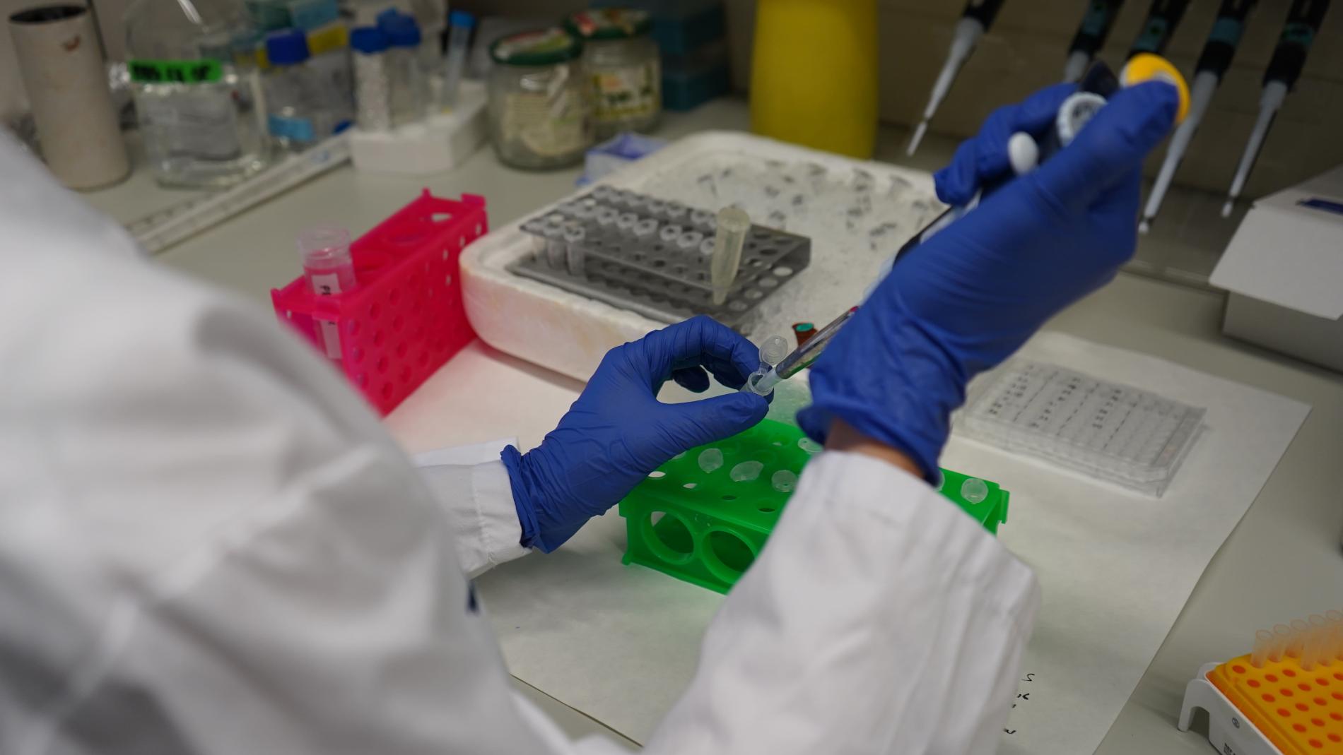 Investigadors treballant al VHIR