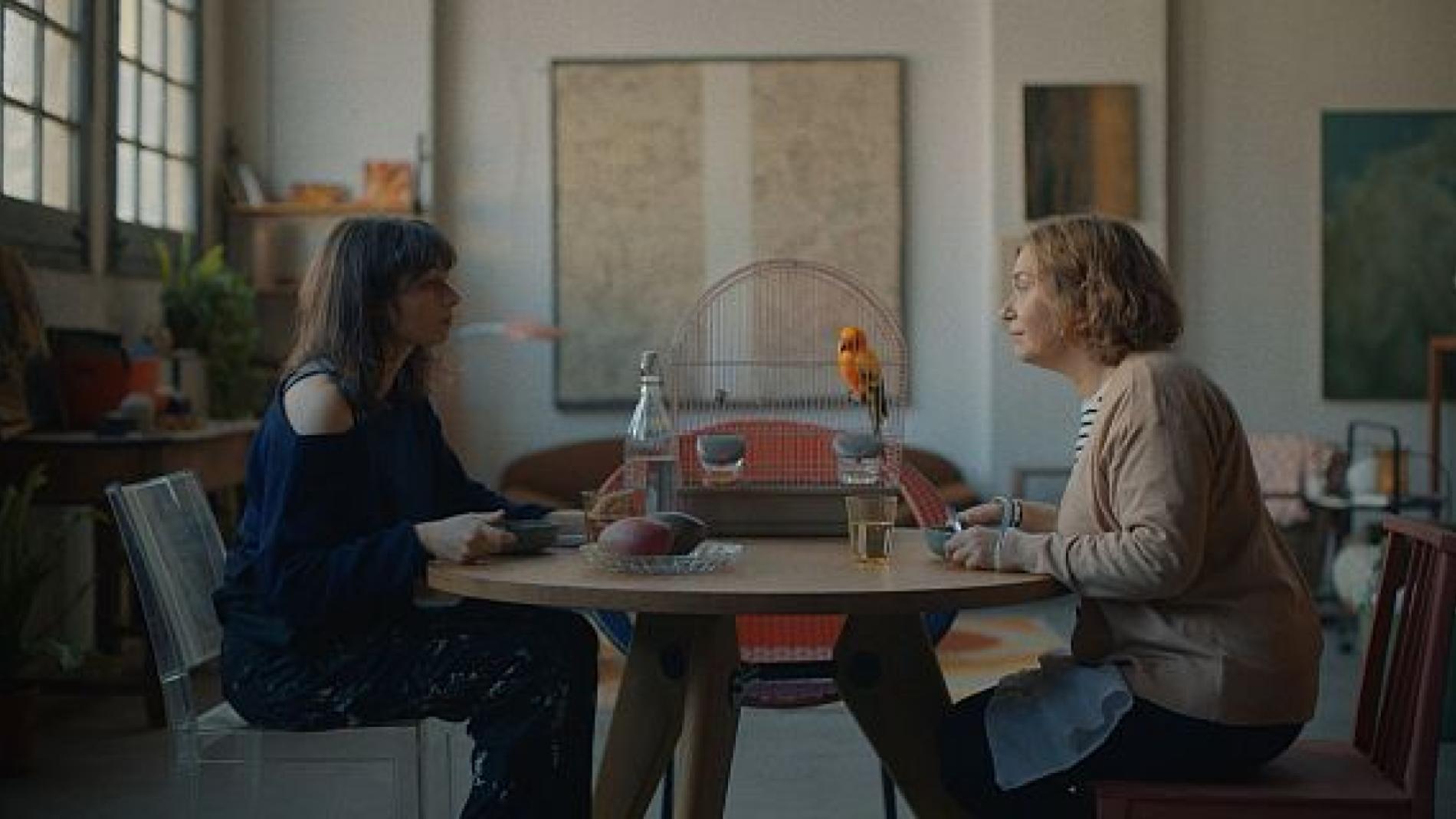 com sempre vall d´hebron