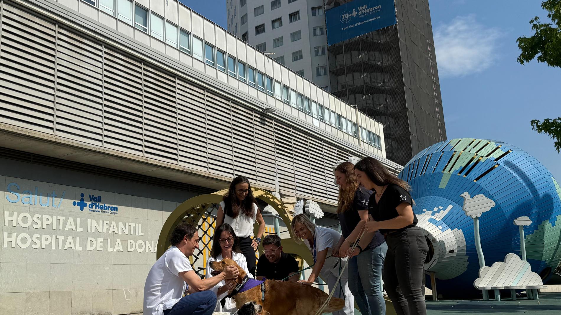 Terapia assistida amb gossos