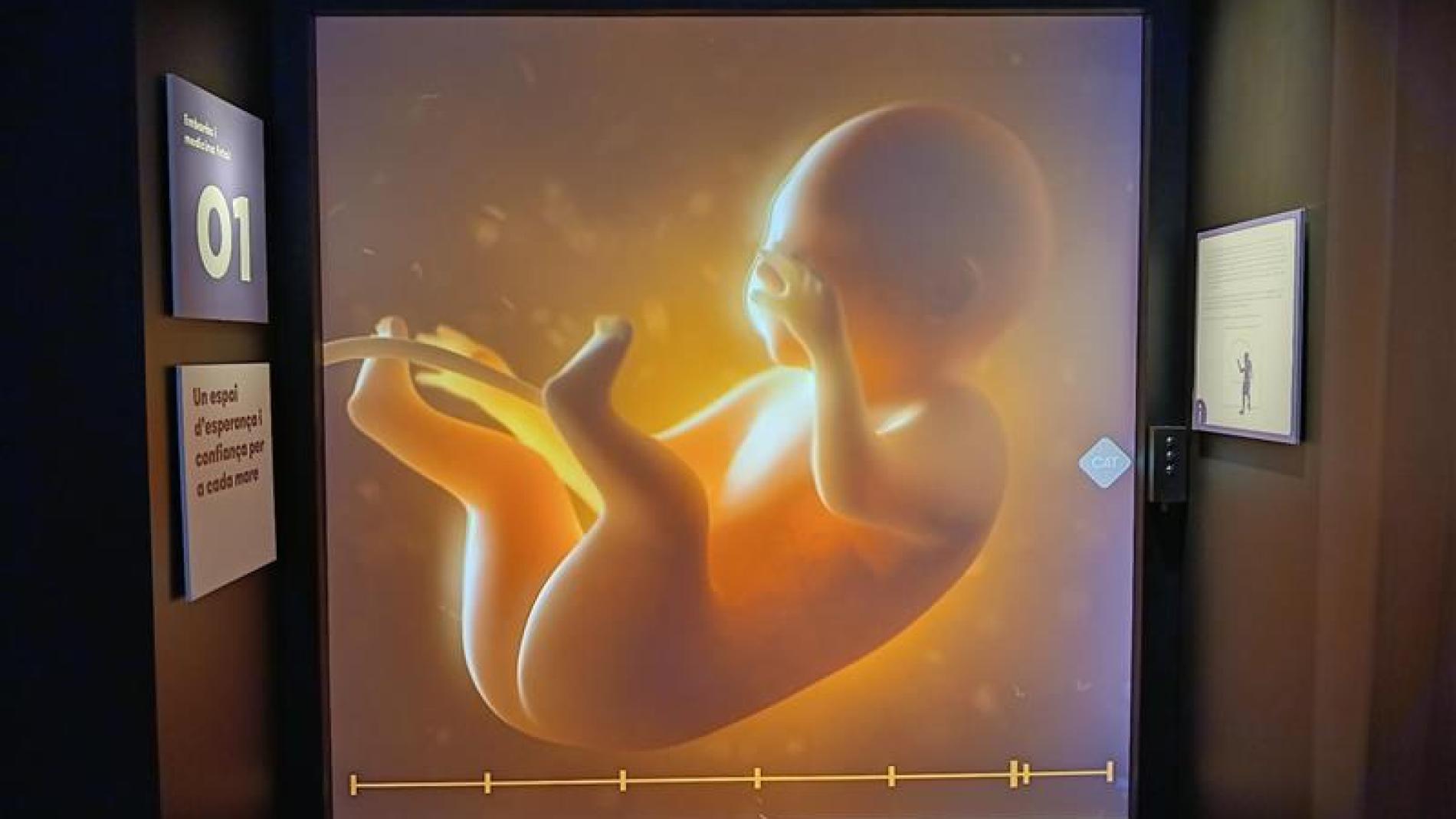 Expo 70 anys Palau Robert