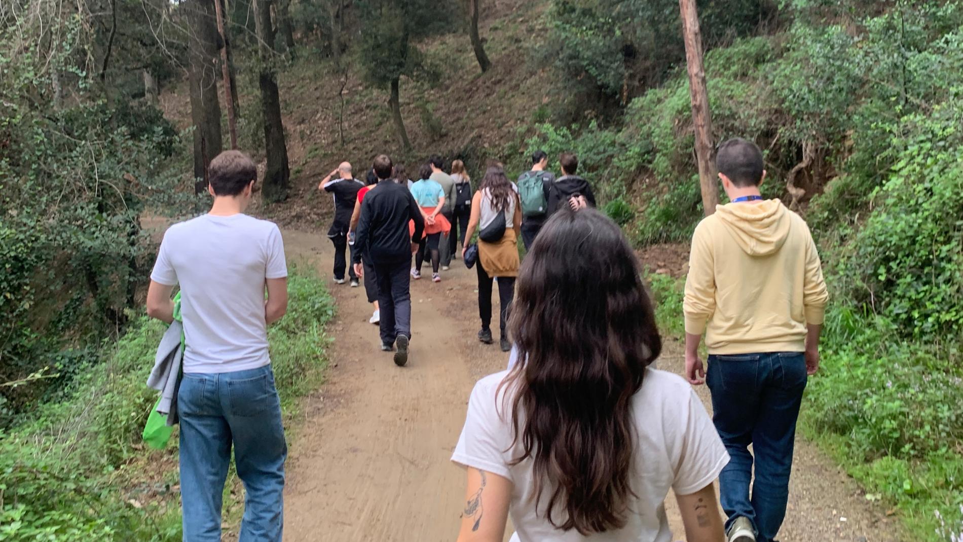 Caminar conscient: connecta amb la naturalesa a Collserola