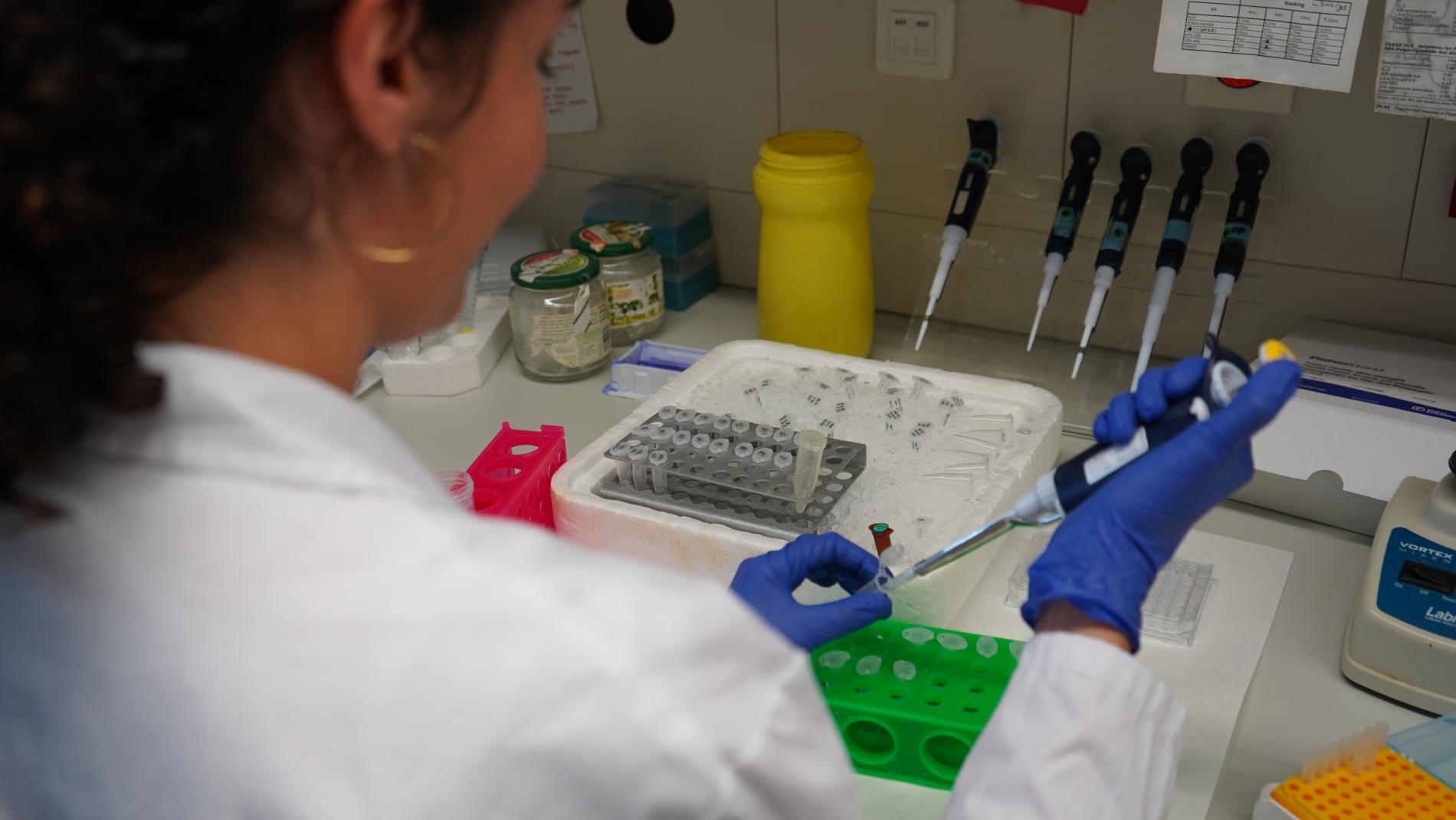 Laboratori del grup de Càncer i Malalties Hematològiques Infantils del VHIR