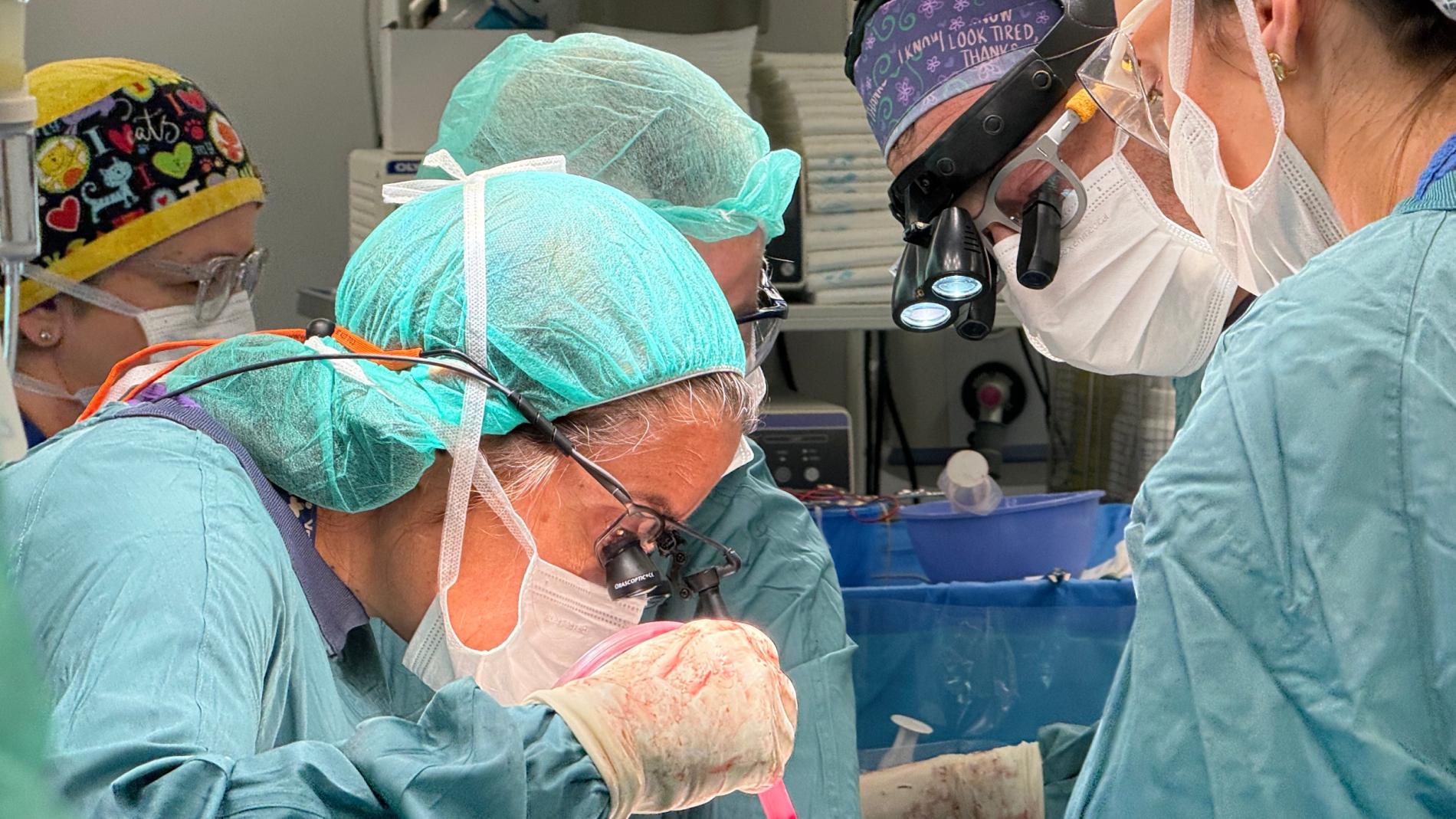 Cirurgia de colangiocarcinoma