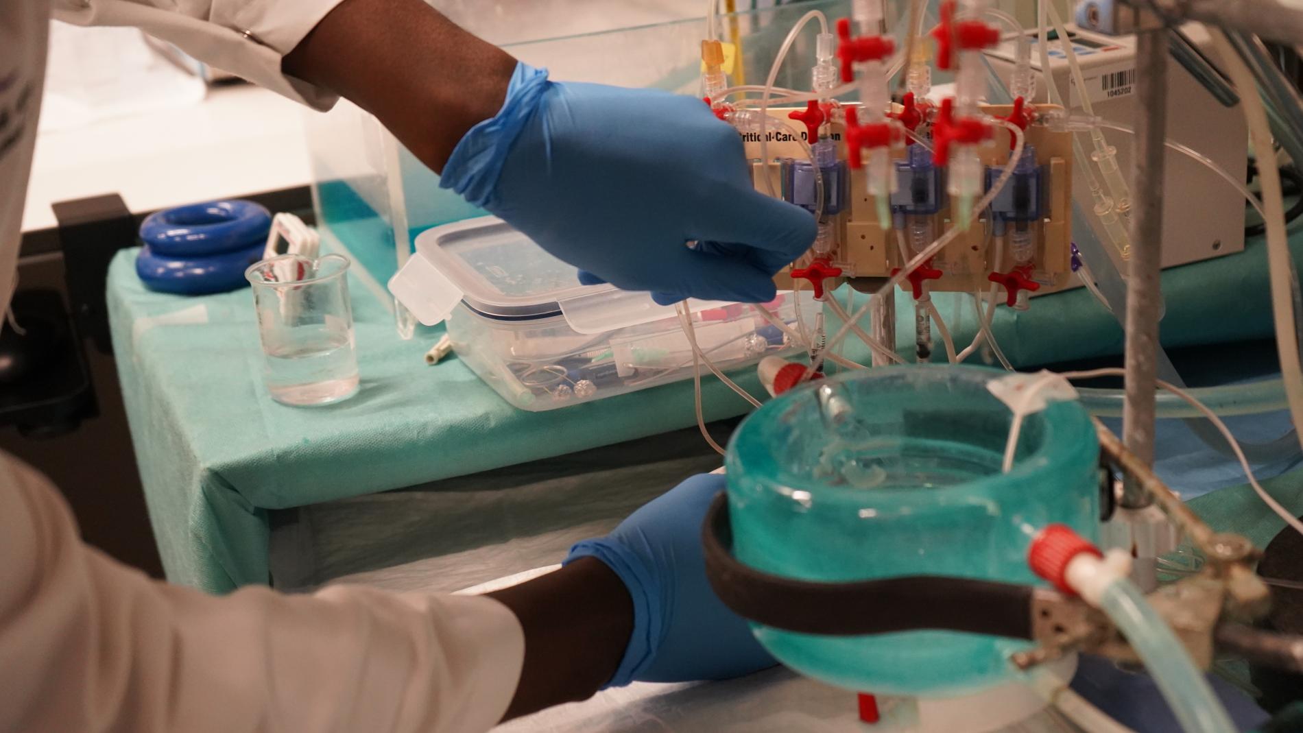 Laboratory experiment