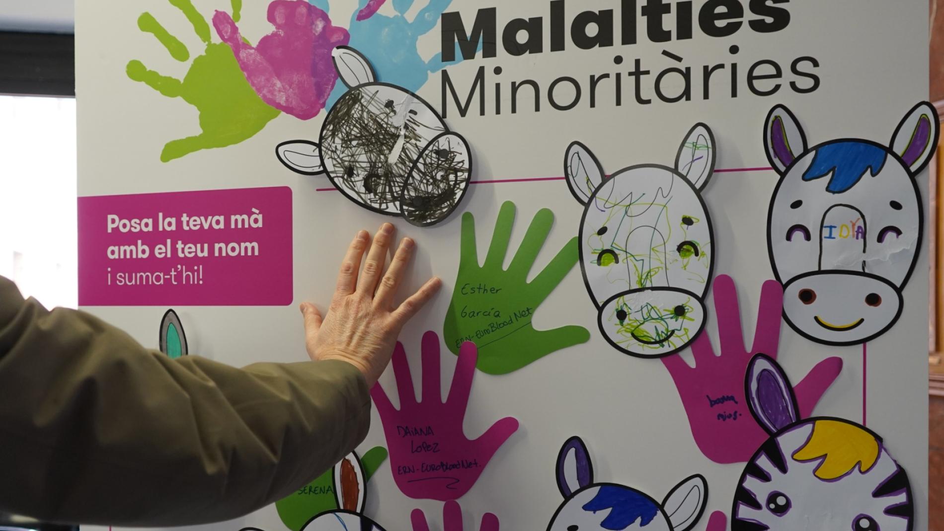 Malalties Minoritaries