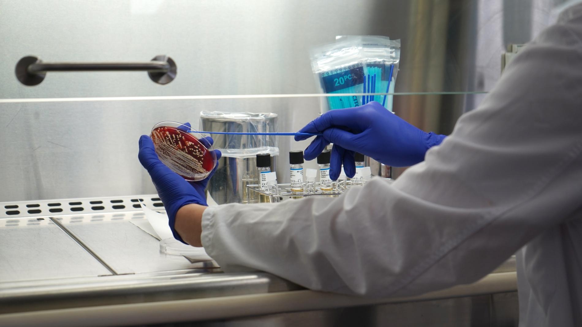 Laboratori de Microbiologia