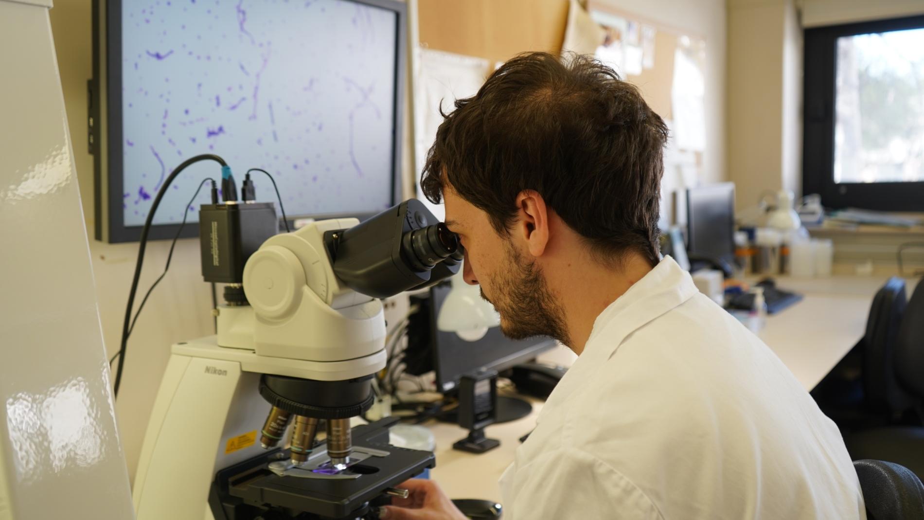 Laboratori de Microbiologia