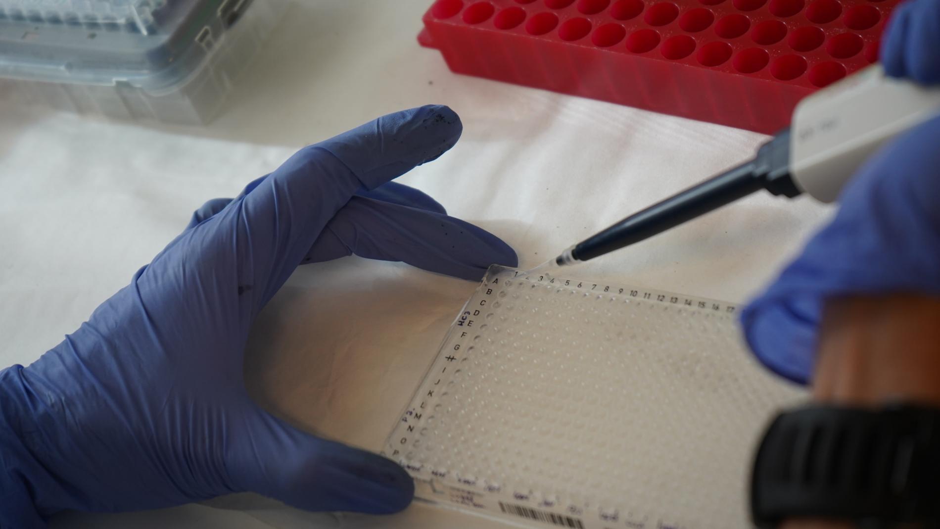 Trabajo en el laboratorio