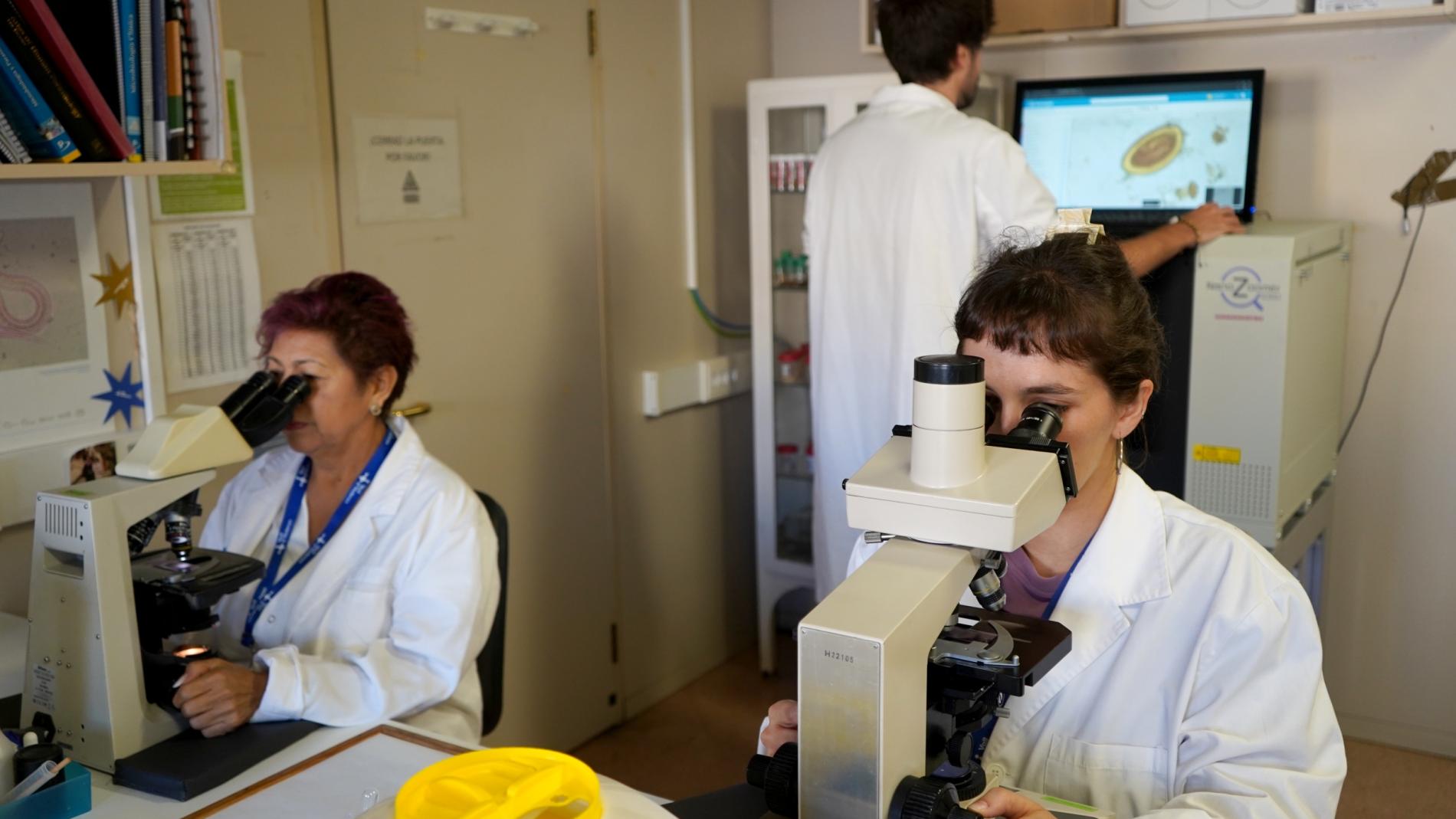 Anàlisi de mostres mitjançant microscòpia manual i la IA de Techcyte