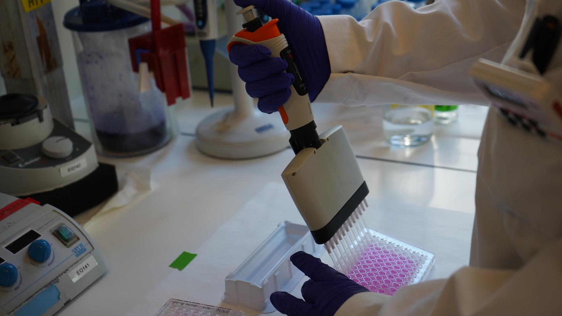 Laboratory work