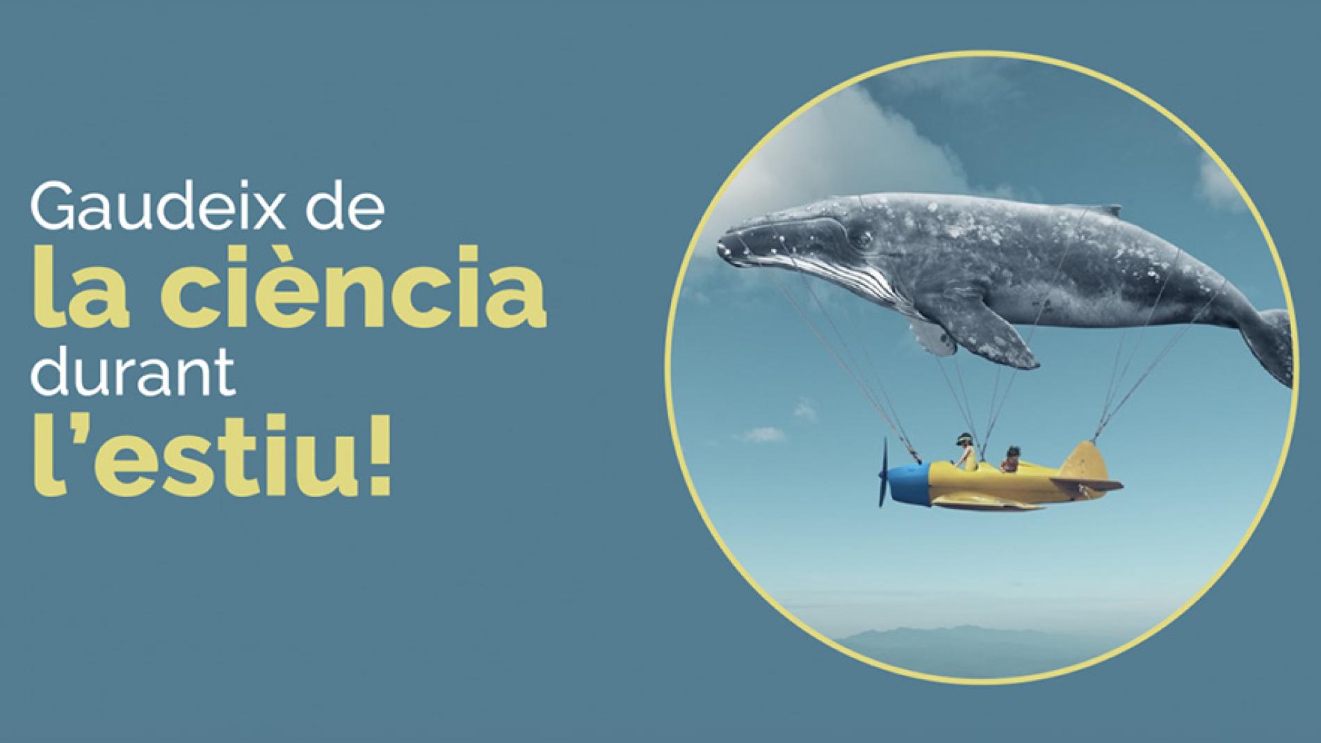 casalcientific2020_884