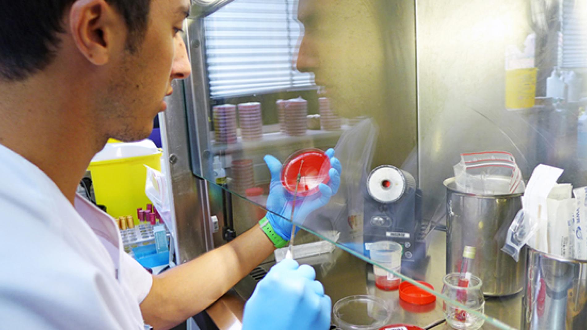 Microbiologia a Vall d'Hebron