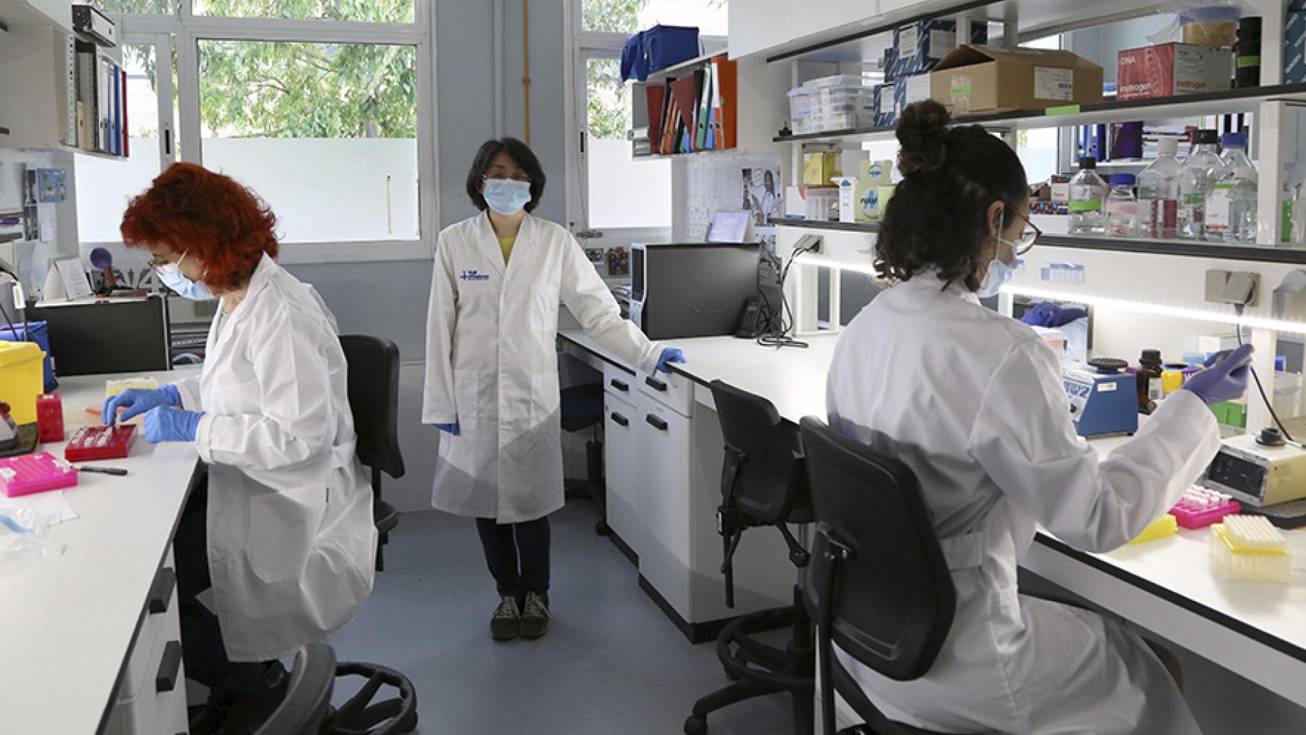 microbiota-malaltia-inflamatoria-intestinal-884