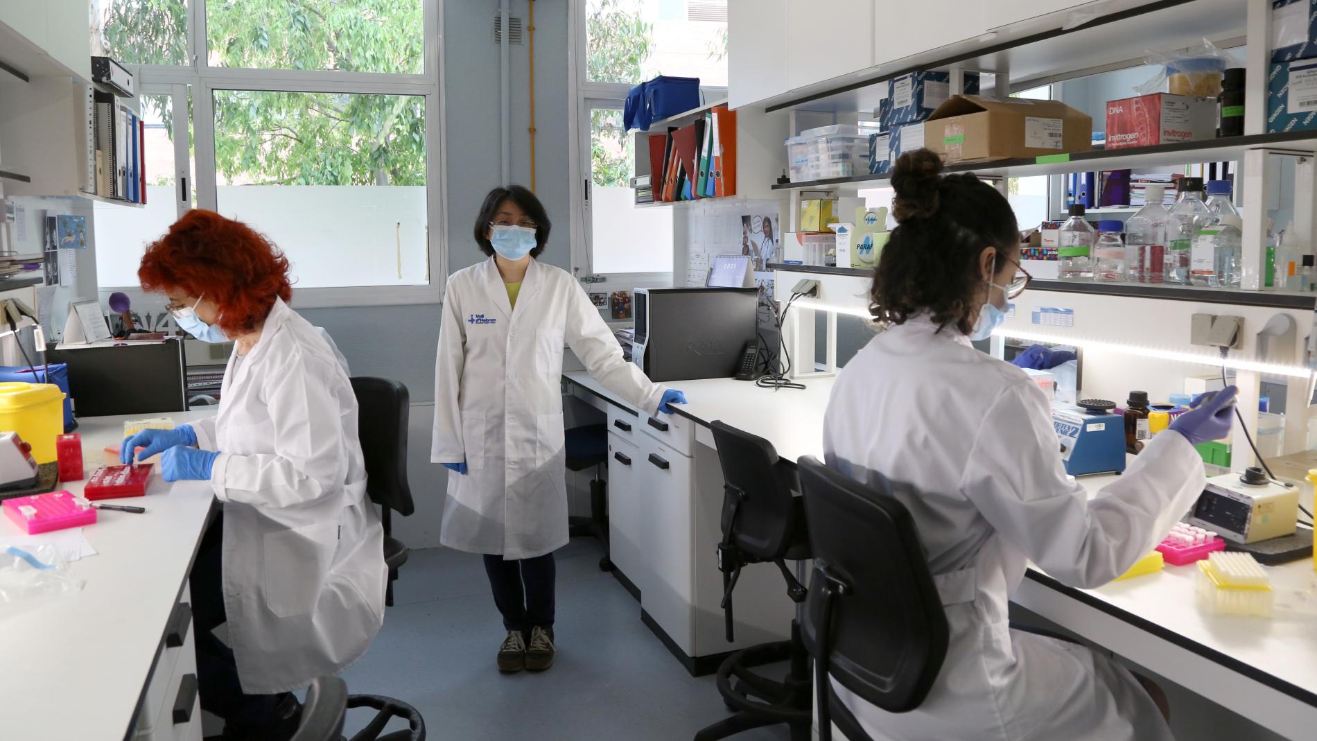 Microbiota i malaltia inflamatòria intestinal