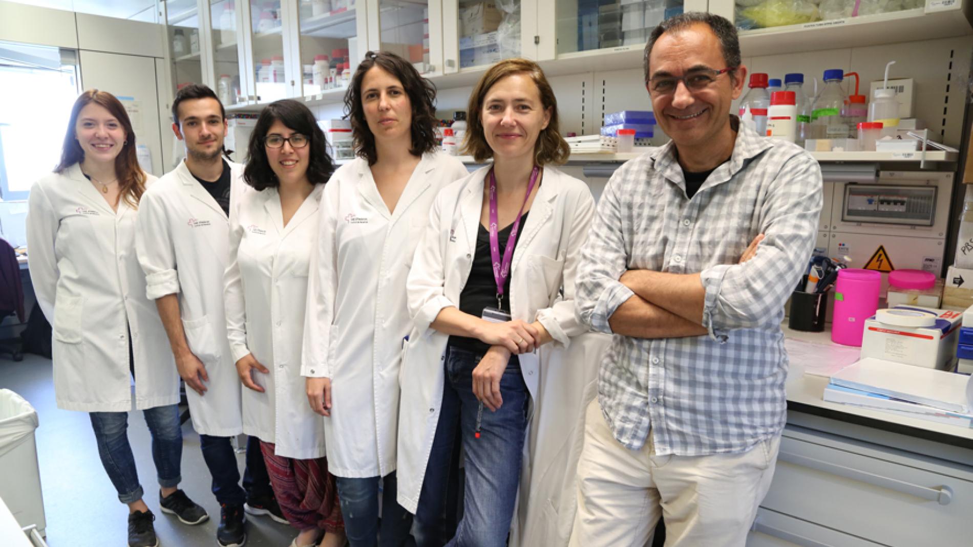 nanomedicina_schwartz_884x504