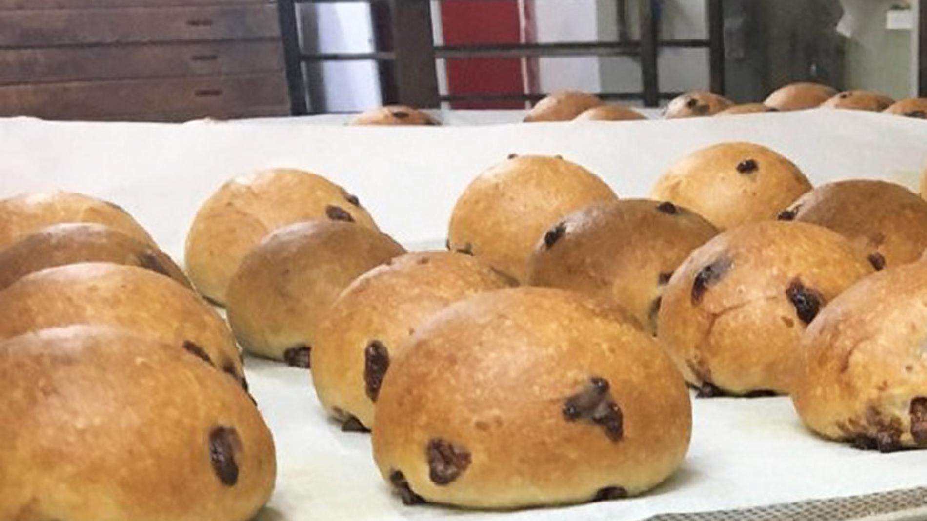 panets_cancer_ovari_884