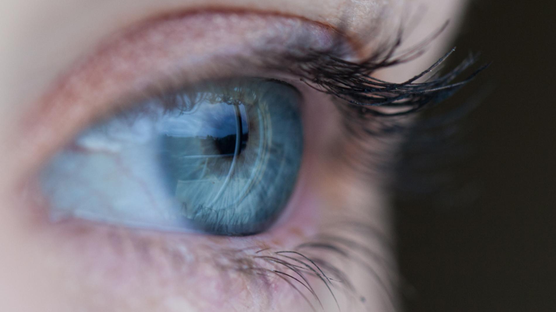 vitrorretina_884x504